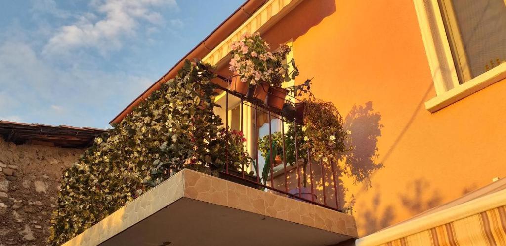 Old Town Rooms Podgorica Ngoại thất bức ảnh